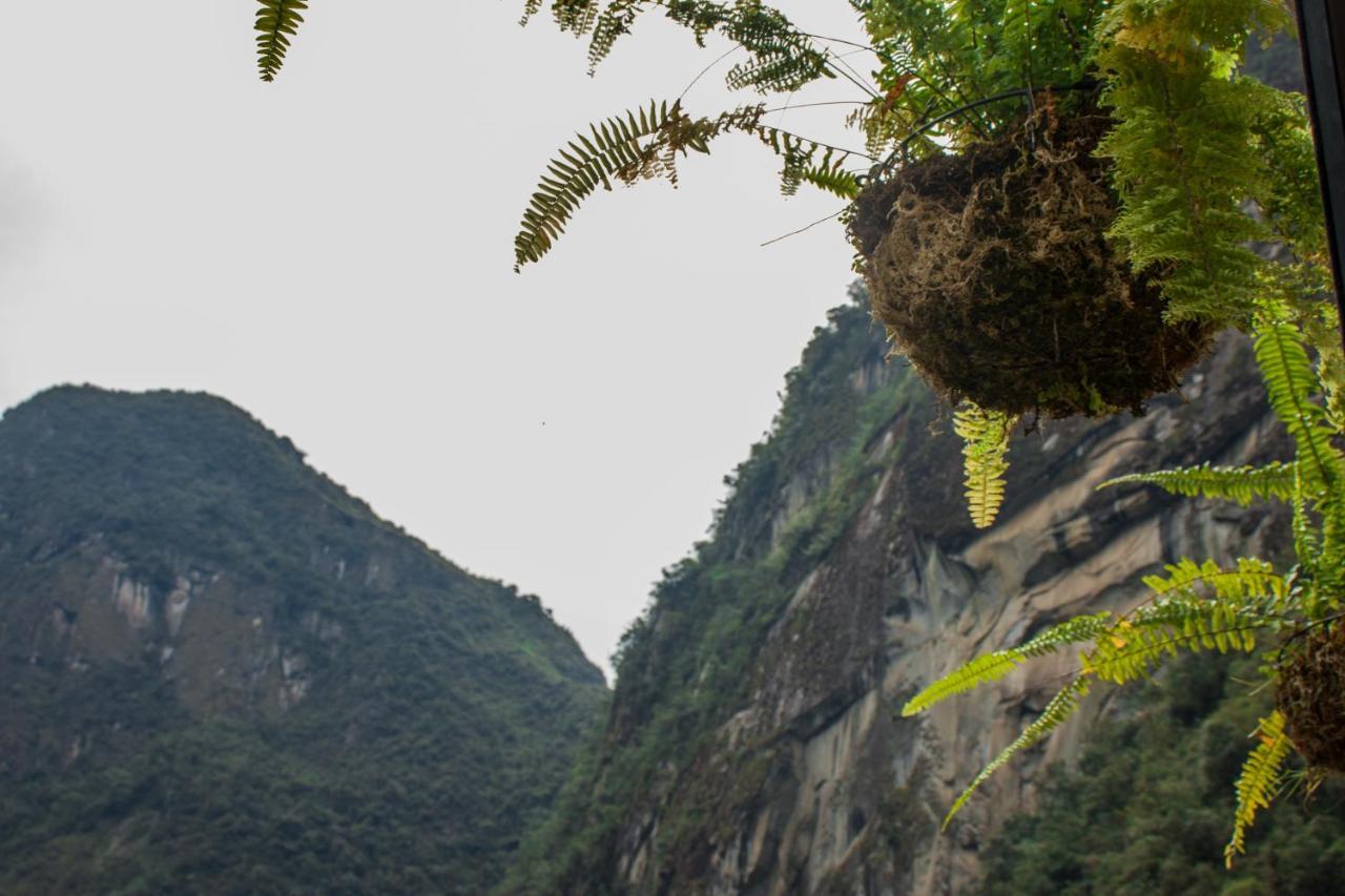 Runas Inn Machupicchu Eksteriør bilde