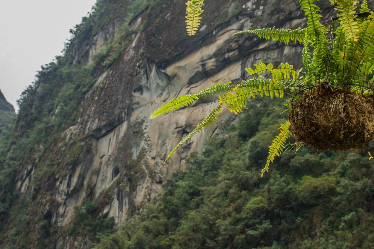 Runas Inn Machupicchu Eksteriør bilde